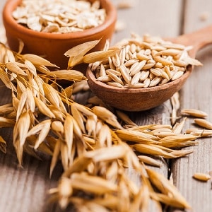 What is the difference between barley, wheat and other grains