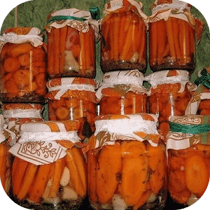 Golden recipes for carrot preparations for the winter