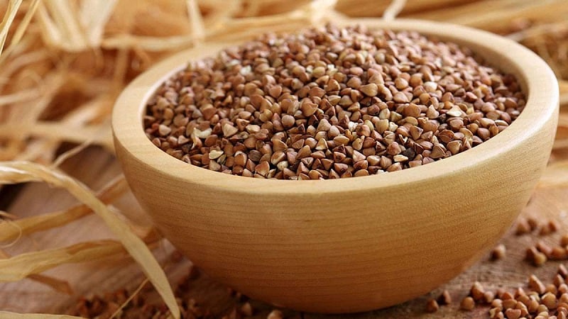 What happens if you eat buckwheat every day and to whom such a diet is contraindicated