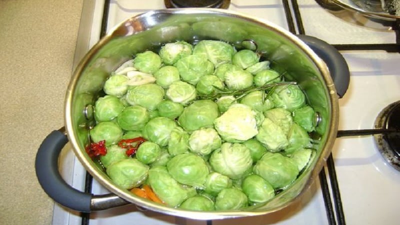 Le migliori ricette per preparare il cavolo cappuccio nel succo di pomodoro per l'inverno senza sterilizzazione