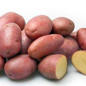 Excellent taste of red potatoes: what are their features and what types are there?