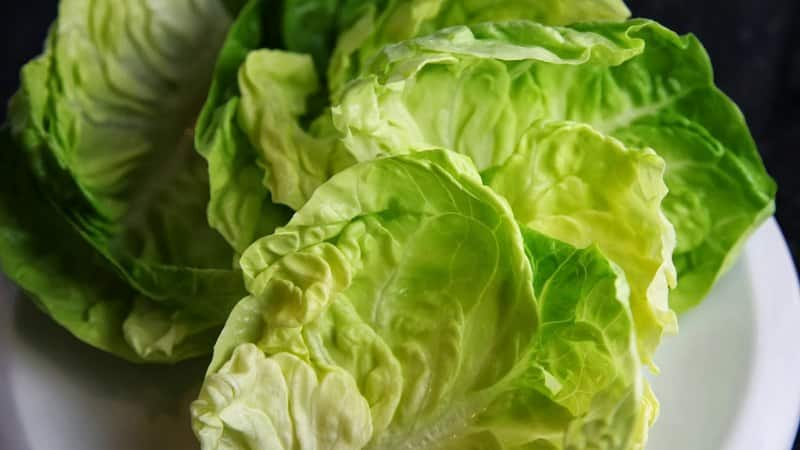 Wie man aus Grünkohlblättern Streusel für den Winter macht