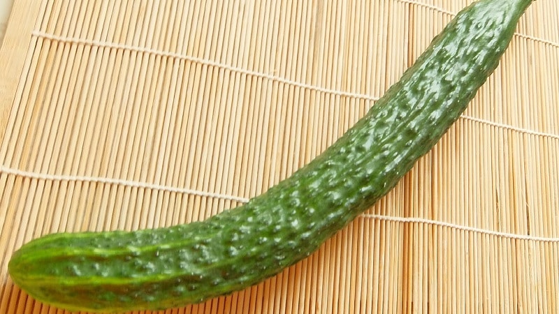 The best varieties of Chinese cucumbers: description and photo