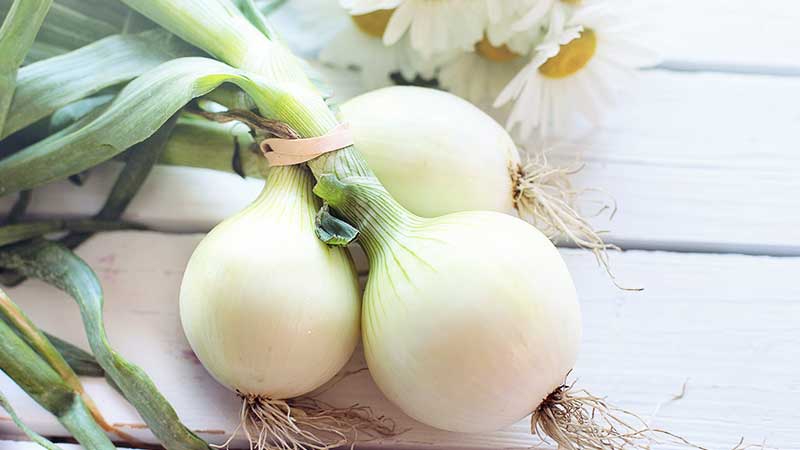 What happens if you eat onions every day?