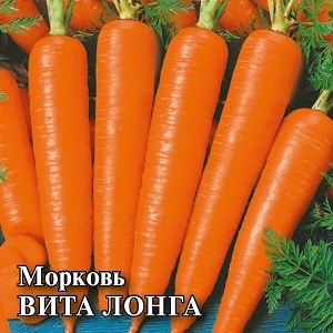 What do Vita Longa and Bangor F1 carrots have in common?