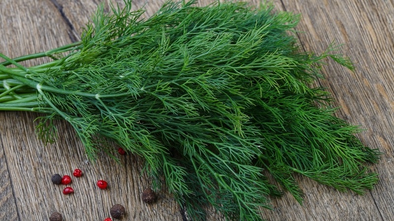 Cos'è l'aneto da giardino e le sue caratteristiche