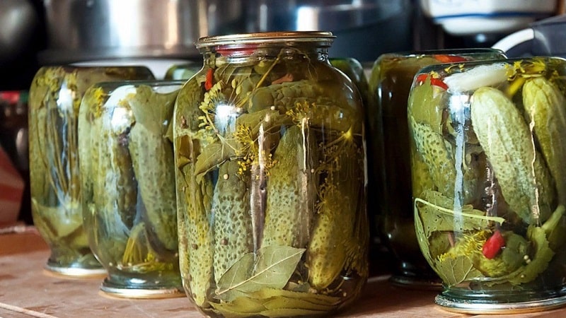 How to easily and simply prepare pickles for the winter without vinegar