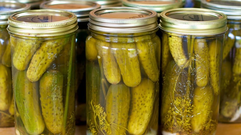 Hur man enkelt och enkelt förbereder pickles för vintern utan vinäger