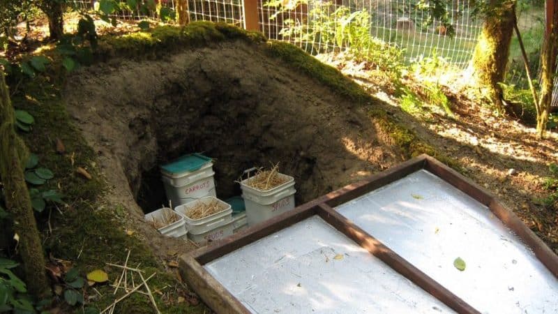 How to properly store potatoes without a cellar in the ground until spring