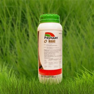 Πώς να εφαρμόσετε τα ζιζανιοκτόνα Weed Killer στις πατάτες