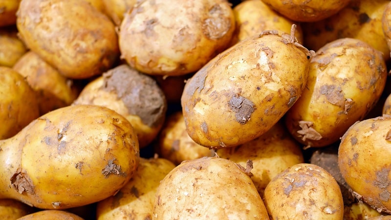 How to check for the presence of cadmium in potatoes, and why it is dangerous for humans