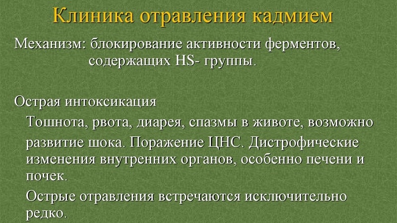 Cách kiểm tra sự hiện diện của cadmium trong khoai tây và tại sao nó lại nguy hiểm cho con người