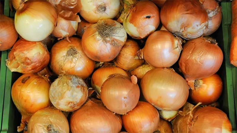 Step-by-step instructions: how to braid onions for storage