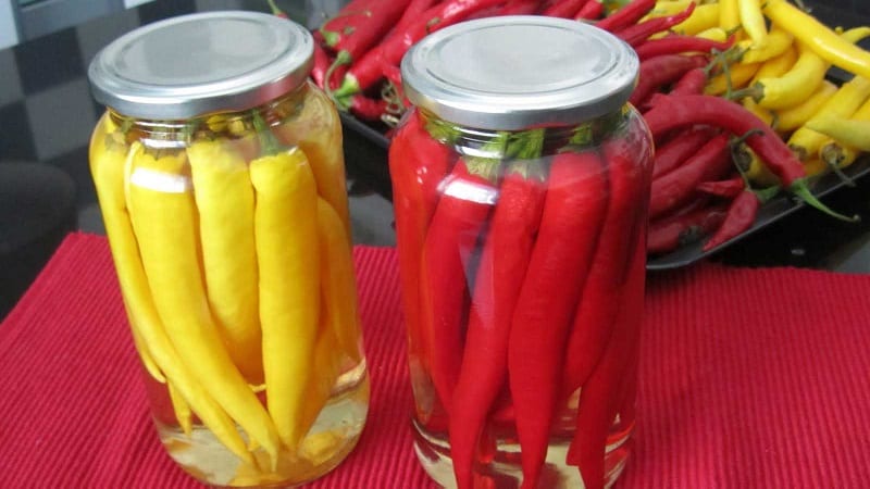 Hvordan sylte varm paprika til vinteren uten sterilisering: de beste oppskriftene og anbefalingene for å lukke krukker