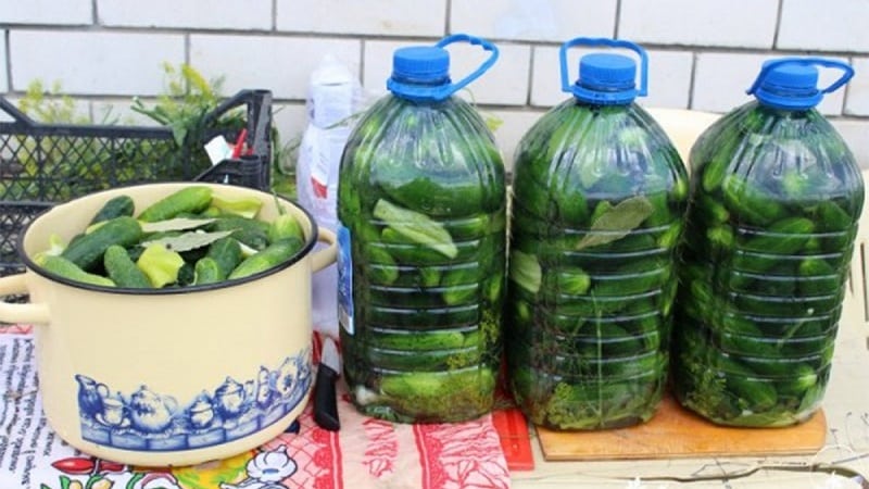 Wie man Gurken in einer 5-Liter-Plastikflasche einlegt: Zubereitung, Kochen und Lagerung