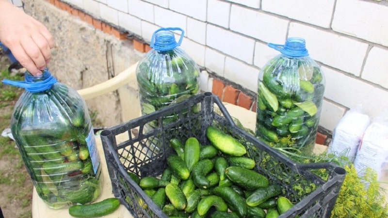 Hoe komkommers in een plastic fles van 5 liter te pekelen: voorbereiding, koken en bewaren