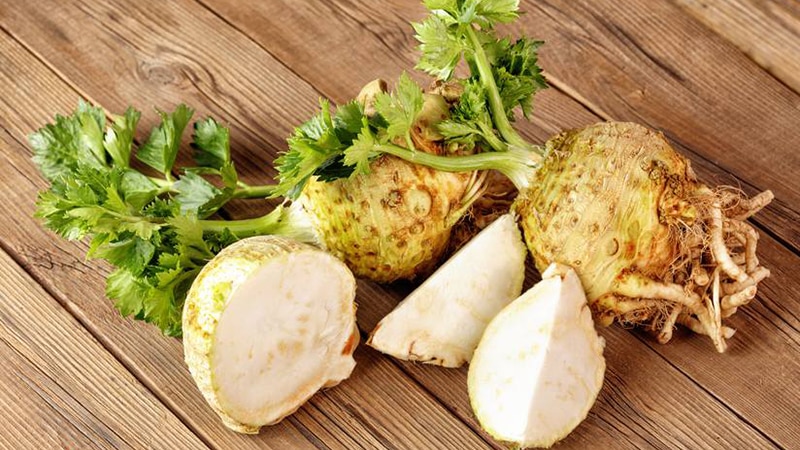 What are the benefits of celery root and how to use it correctly