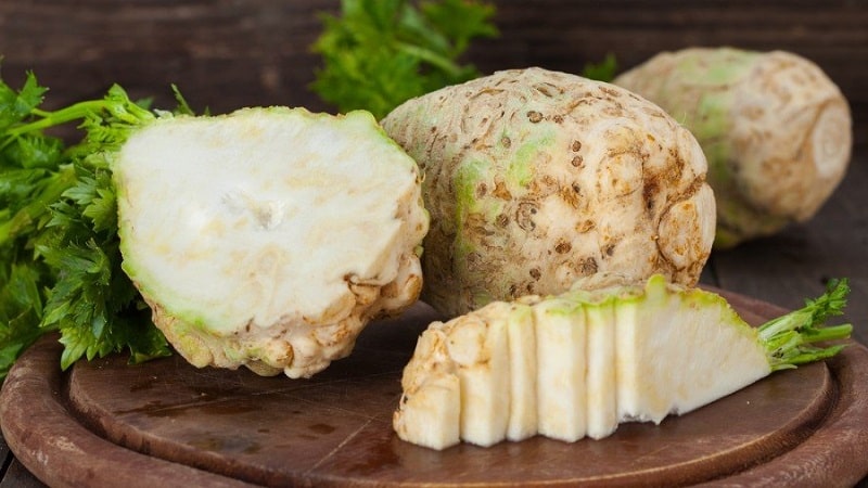 What are the benefits of celery root and how to use it correctly