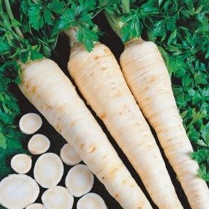 Ano ang mabuti tungkol sa root parsley at kung bakit ito ay nagkakahalaga ng pagpapalaki nito