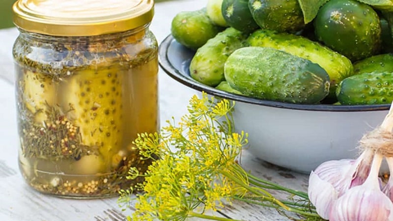 The best recipes for preparing cucumbers with mustard for the winter in jars in a cold way