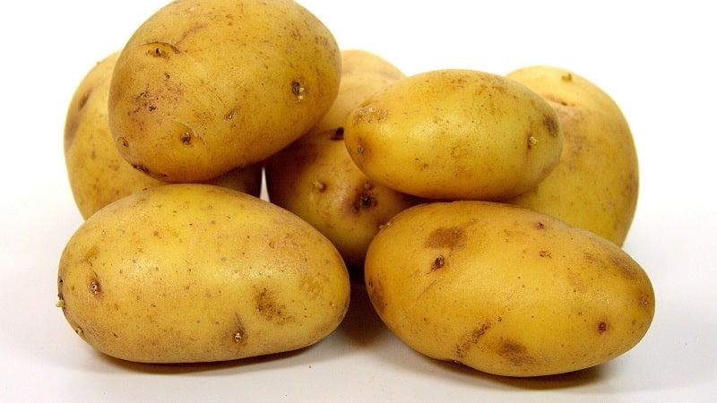 Las mejores variedades de patatas siberianas y consejos útiles para cultivarlas.