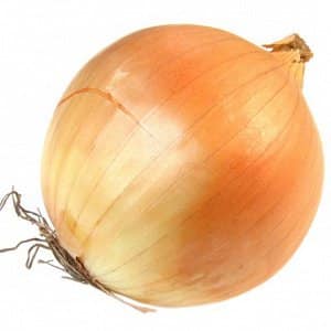 Multi-primed onion hybrid na Manas, na mahusay na nagpaparaya sa tagtuyot