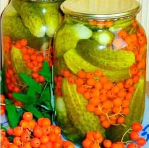 The nuances of preserving long cucumbers: is it possible to preserve Zozulya cucumbers for the winter and how to do it tasty and simple