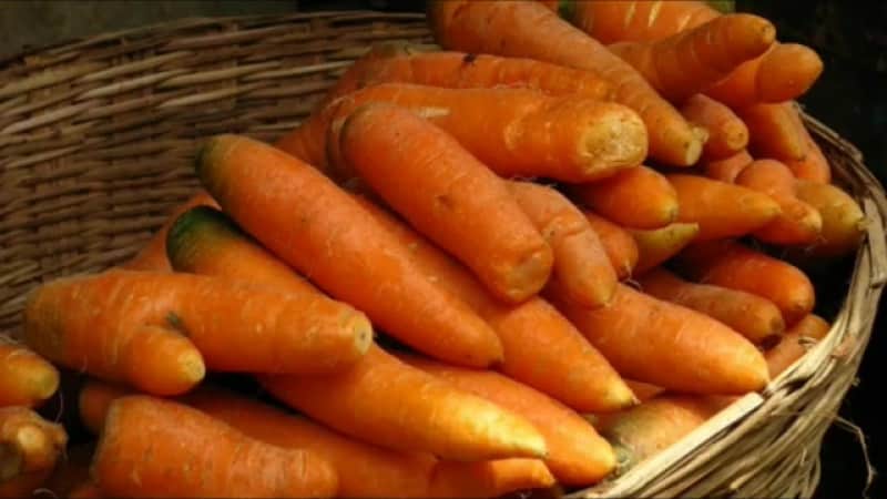 Features of storing carrots at home in an apartment