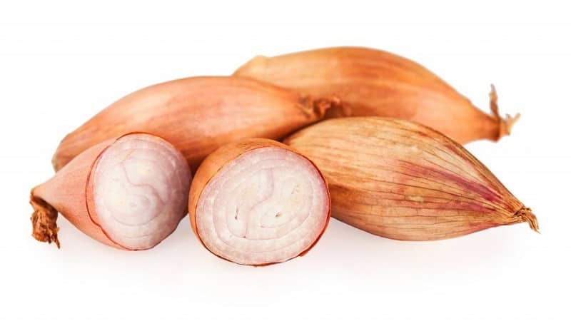 Mga tampok ng paglilinang at mga katutubong recipe na may mga shallots