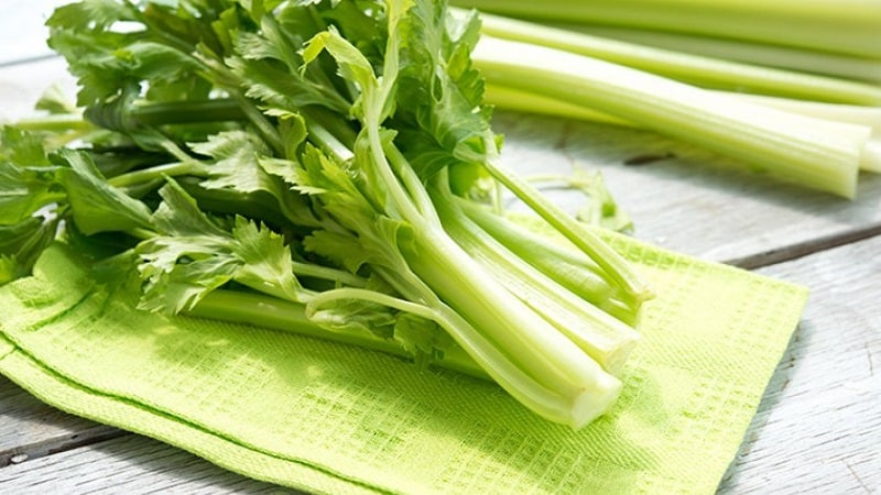 The benefits and harms of celery for gout