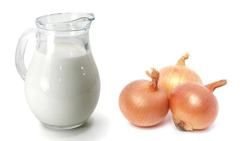 Does milk with onions help with cough and how to use it correctly