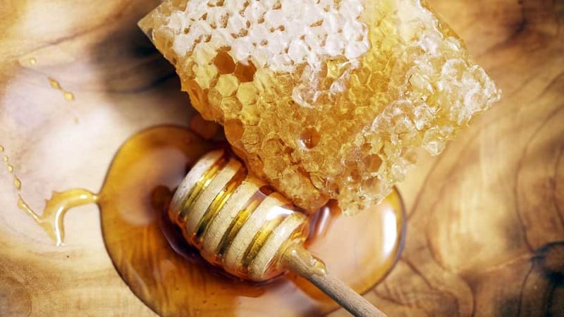 Does turnip with honey help with cough and how to use this medicine correctly