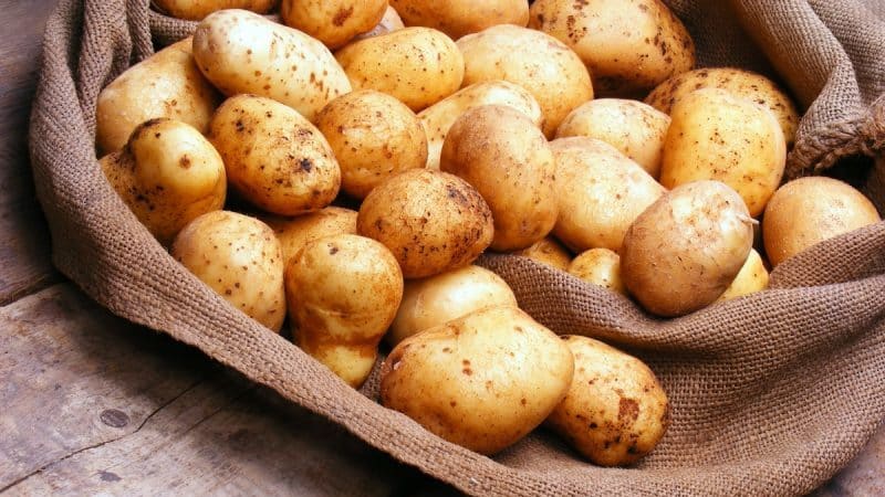 Reglas para almacenar patatas: ¿se pueden lavar antes de guardarlas?