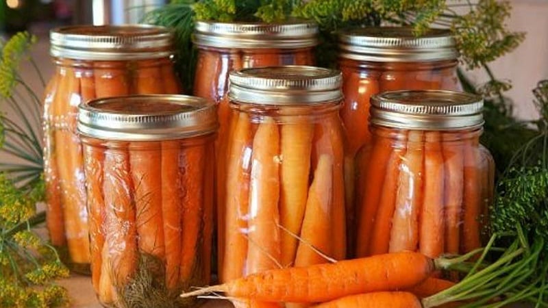 Simple and tasty recipes for pickled carrots