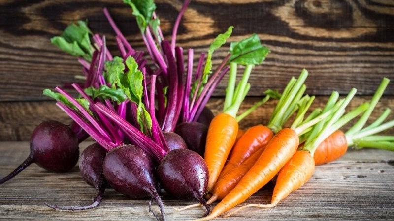 Simple and tasty recipes for pickled carrots