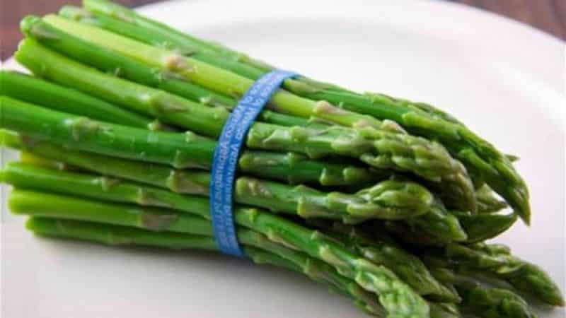 Varietà di asparagi: a foglia sottile, Argentel e altri