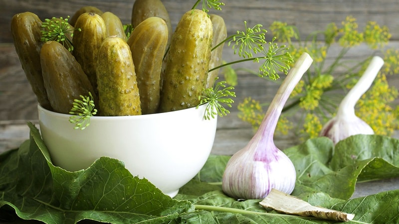 Recetas de pepinos crujientes sin esterilizar para el invierno.