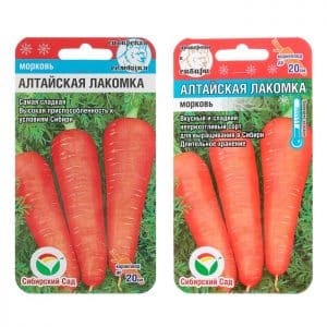 Sweet, delicate carrot variety Altai Gourmand