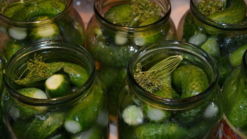 Pickling cucumbers in jars for the winter to prevent them from exploding: recipes, rules for preparing vegetables and storing preparations