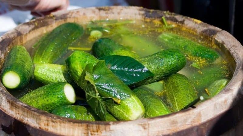 Hakbang-hakbang na mga tagubilin para sa pag-aatsara ng mga pipino sa isang bariles gamit ang iyong sariling mga kamay