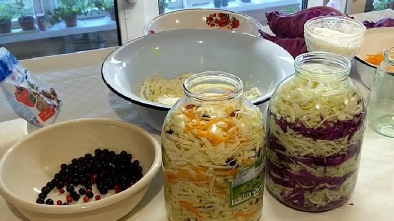 Resipi untuk sauerkraut yang lazat dalam balang 3 liter untuk musim sejuk dan cadangan untuk menyimpan makanan ringan