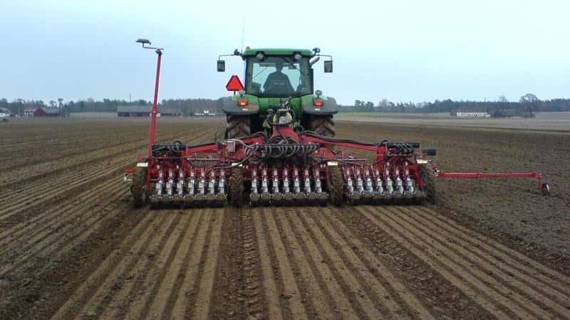 Etapas de la siembra de trigo de invierno y cuidado adicional de las plantaciones.