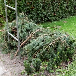 Una guida passo passo per preparare correttamente l'uva per l'inverno