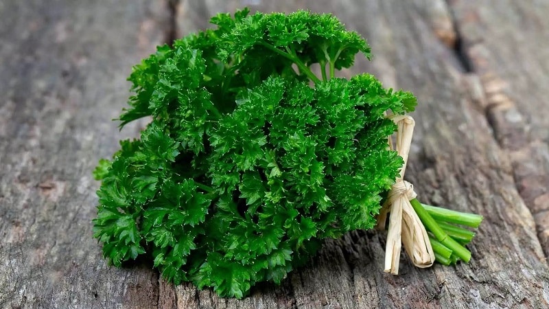 What is the name of curly parsley?