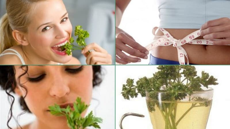 How to take parsley for weight loss: the best fat-burning recipes