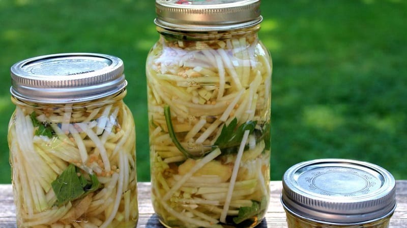 The best recipes for stalked celery preparations for the winter