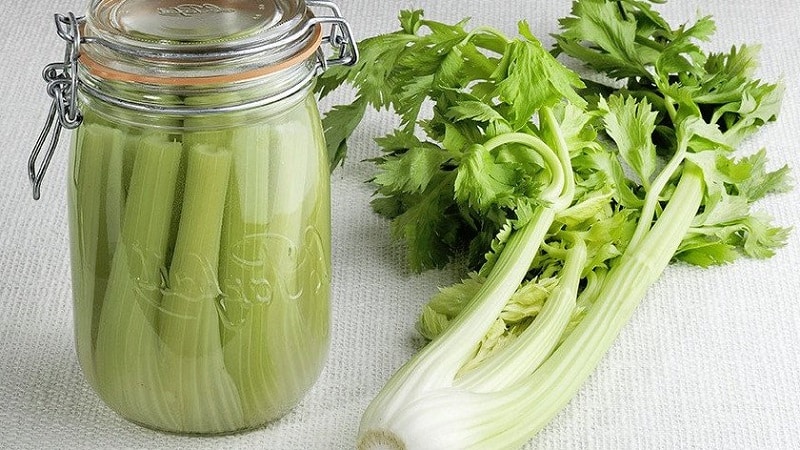 The best recipes for stalked celery preparations for the winter