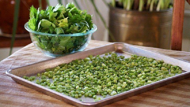 The best recipes for stalked celery preparations for the winter