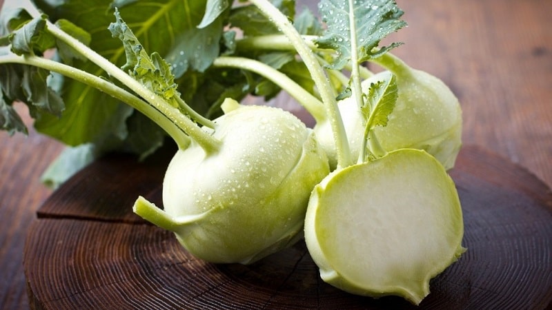 การเตรียม DIY แสนอร่อย: สูตรการเตรียมกะหล่ำปลี kohlrabi สำหรับฤดูหนาว