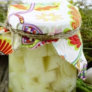 Leckere DIY-Zubereitungen: Rezepte für die Zubereitung von Kohlrabikohl für den Winter